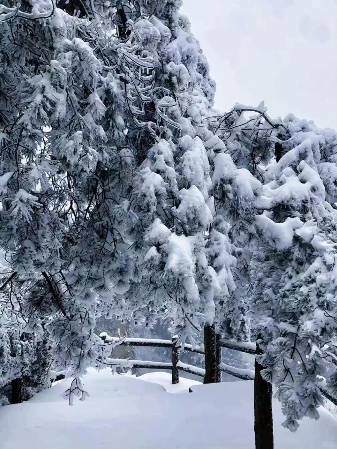 Zhangjiajie Tingyutang Little Yard Eksteriør billede