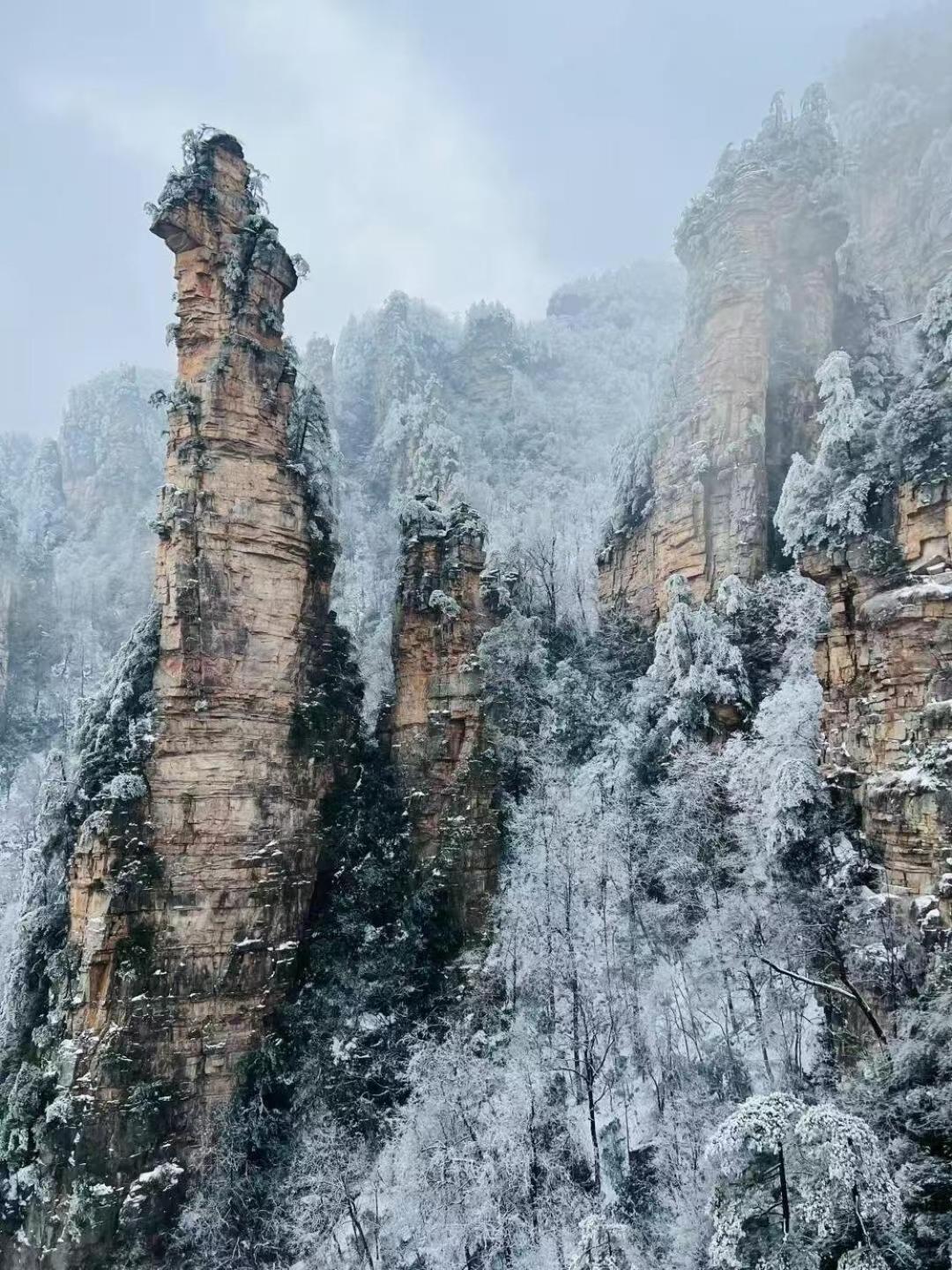Zhangjiajie Tingyutang Little Yard Eksteriør billede