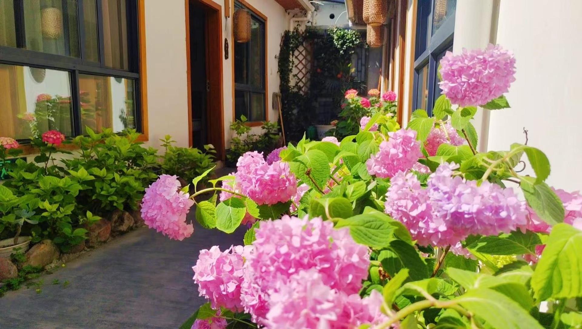 Zhangjiajie Tingyutang Little Yard Eksteriør billede
